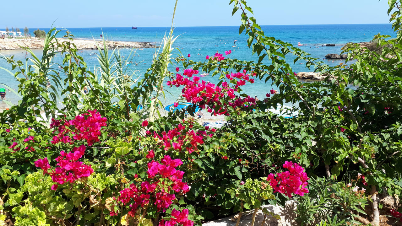 Ausblick Crystal Springs Beach Hotel