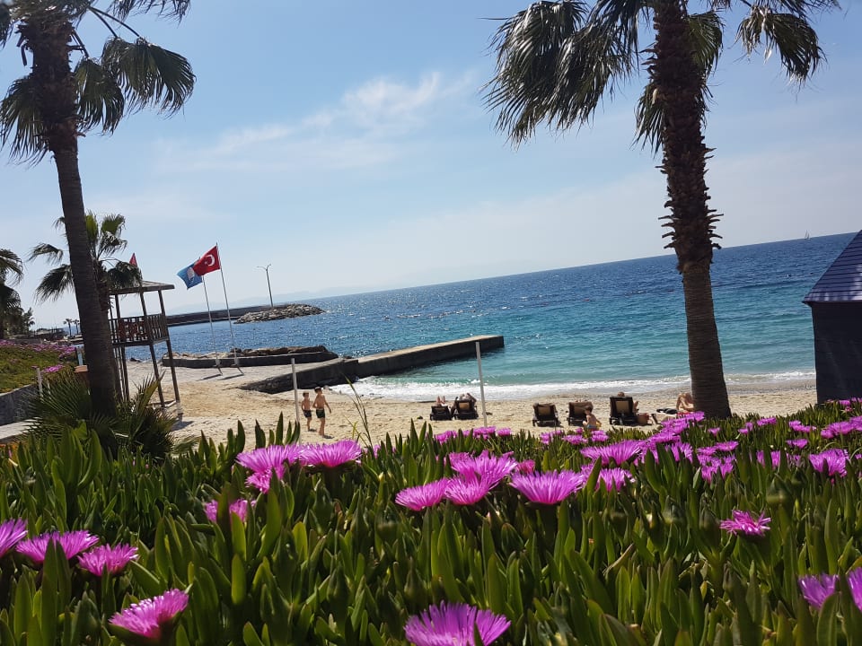 Strand Hotel Pine Bay Holiday Resort