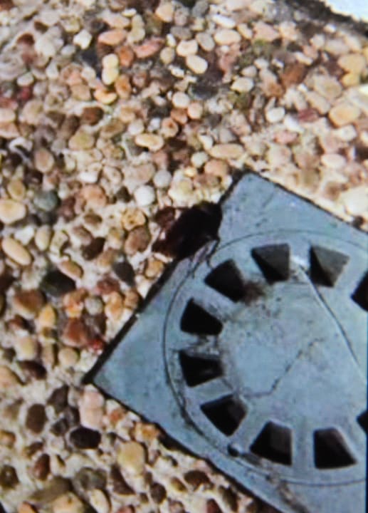 Zimmer Aparthotel Costa Mar