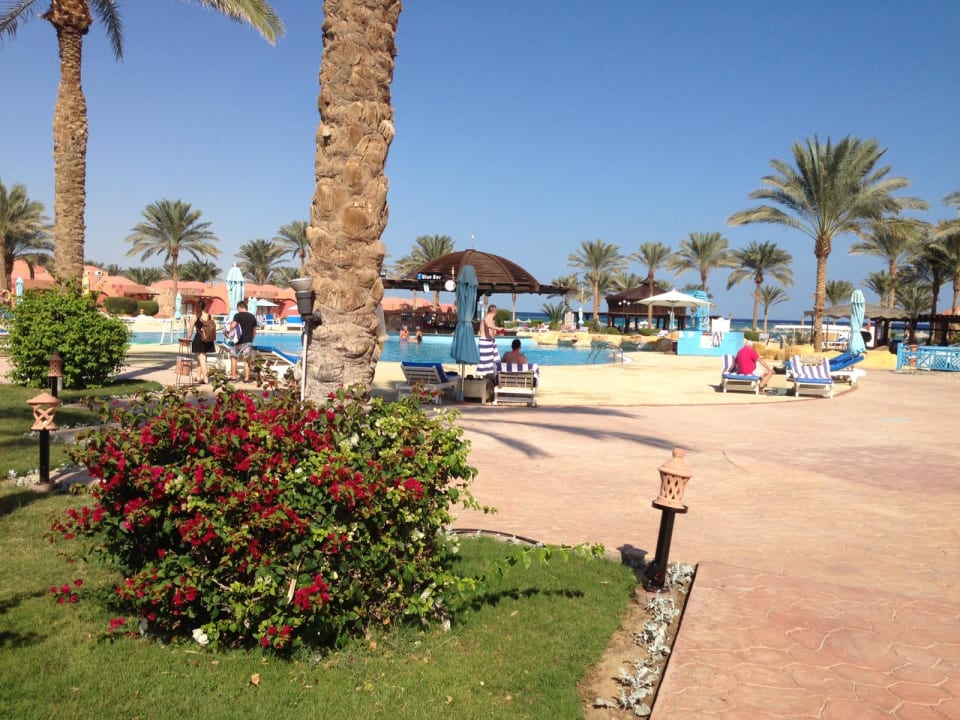Pool Swisstouch Oriental Resort Marsa Alam