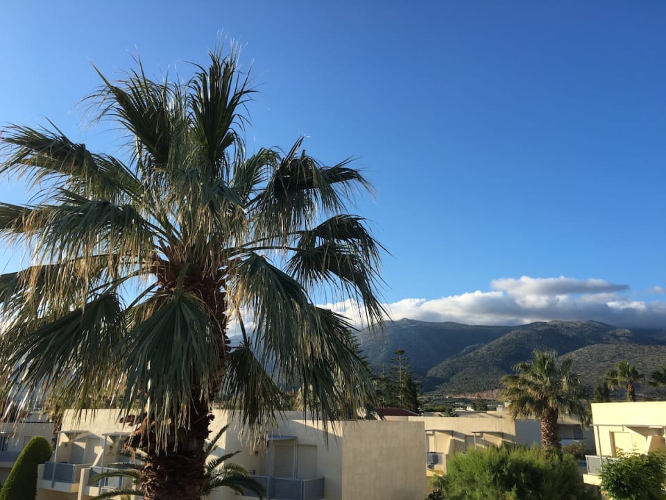 Ausblick Phãea Cretan Malia