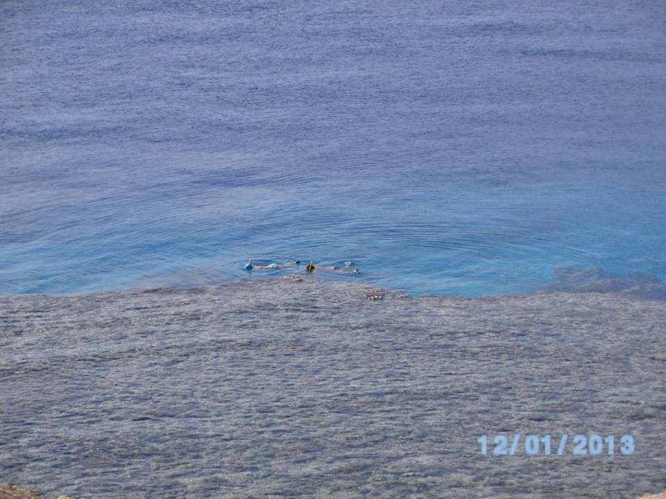 Reef, Wasser 21*C Sharm Plaza