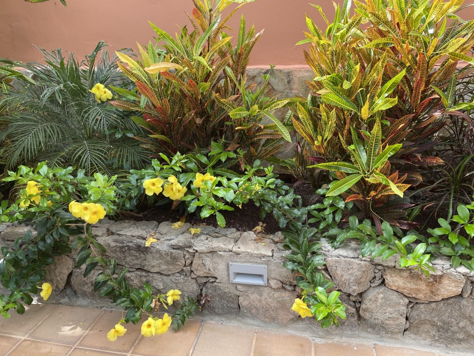 Gartenanlage Hotel Cordial Mogán Playa
