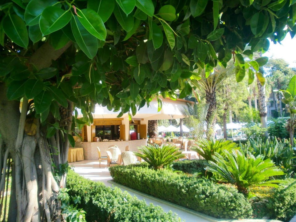 Poolbar Botanik Hotel & Resort