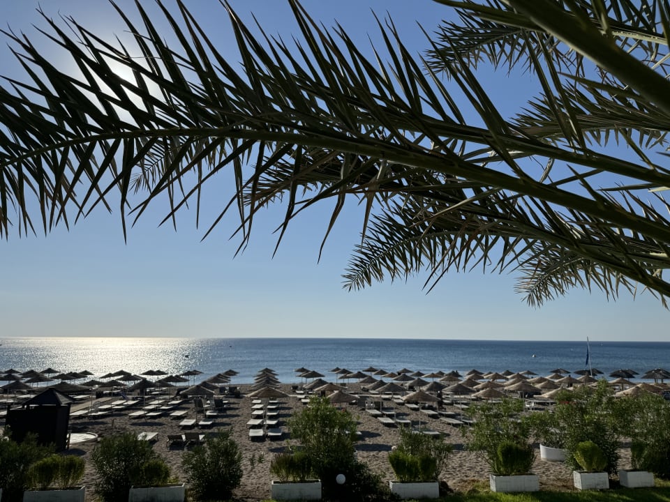 Strand Hotel Calypso Beach