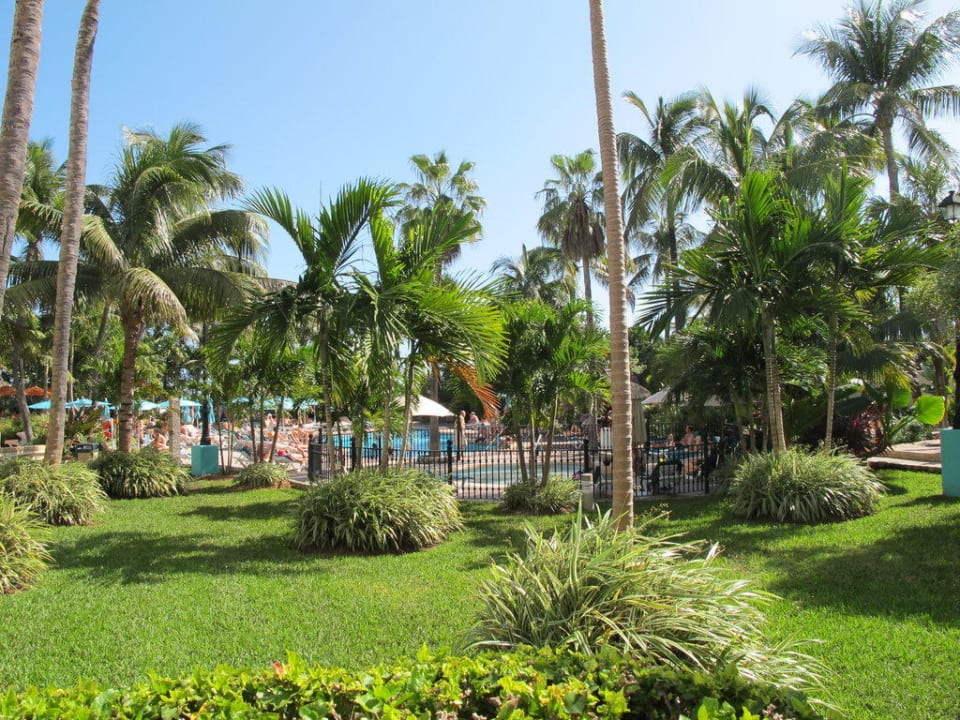 Poollandschaft Hotel Riu Plaza Miami Beach
