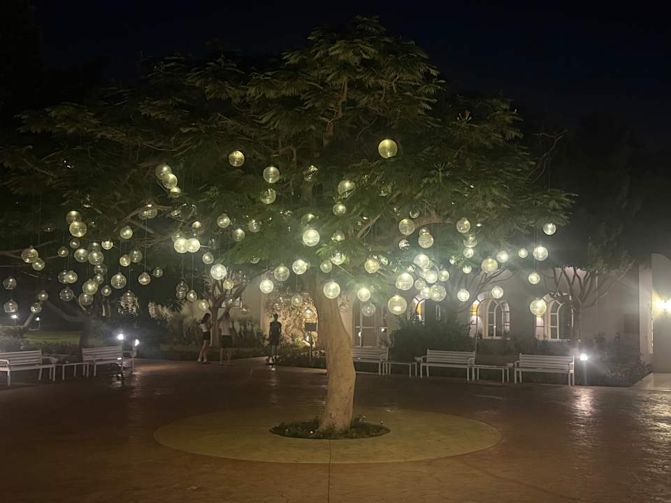 Gartenanlage Desert Rose