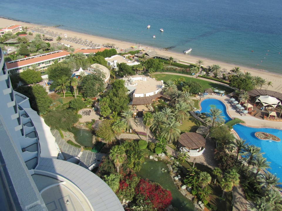 Blick auf den Pool / Strand Hotel Le Meridien Al Aqah Beach Resort