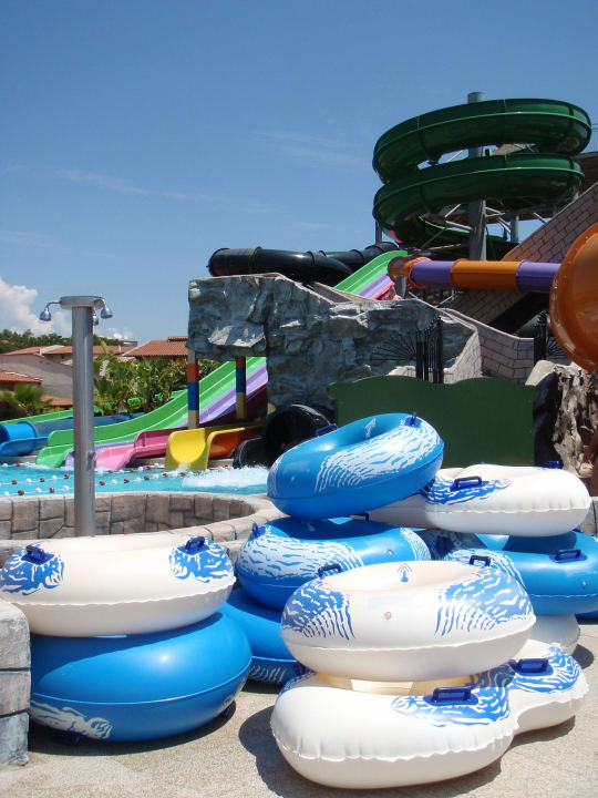 Megaspaß! Papillon Belvil