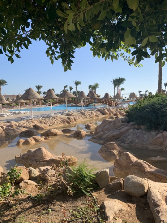 Pool Parrotel Beach Resort