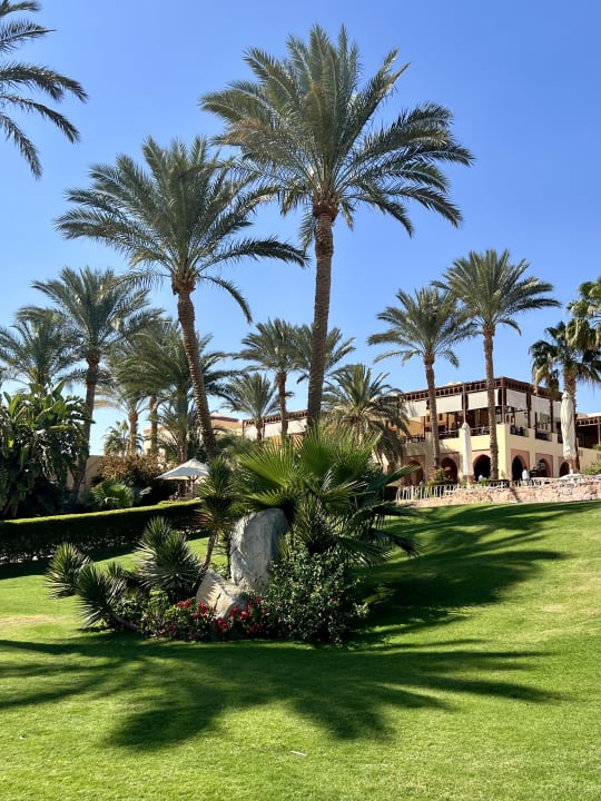 Gartenanlage Steigenberger Coraya Beach - Adults only