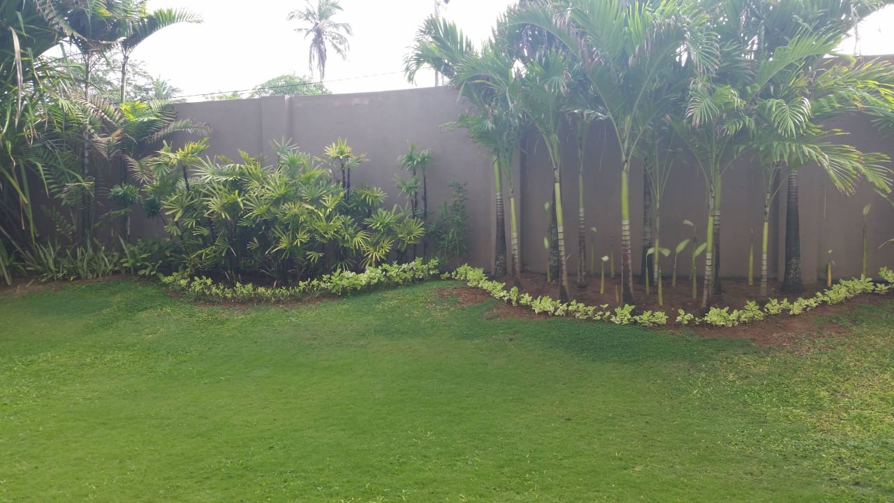 Garten  Pandanus Beach Resort & Spa