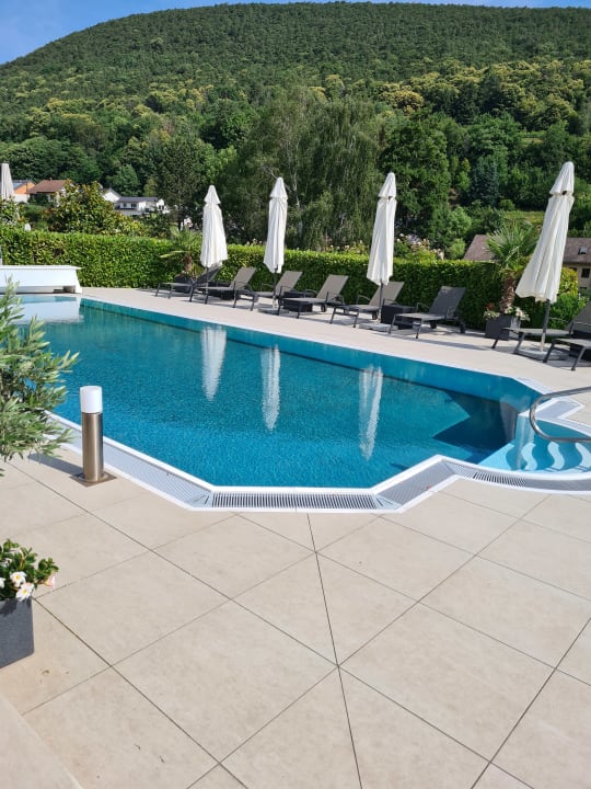 Pool Wiedemann's Weinhotel