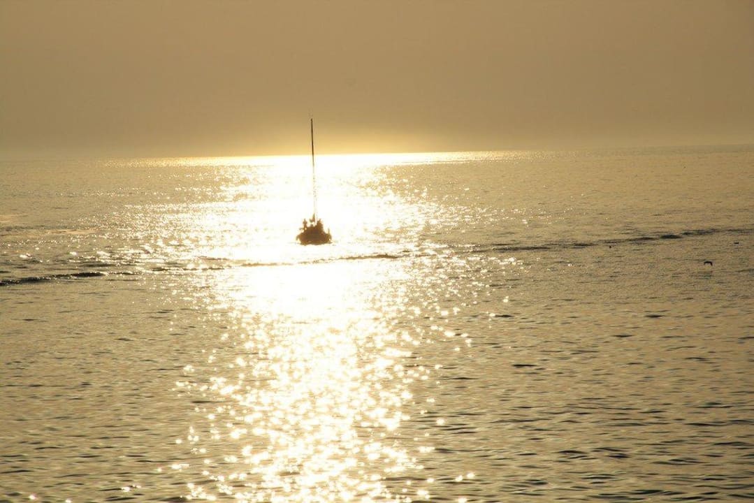 Von der Hotelterrasse BO Hotel Palazzo