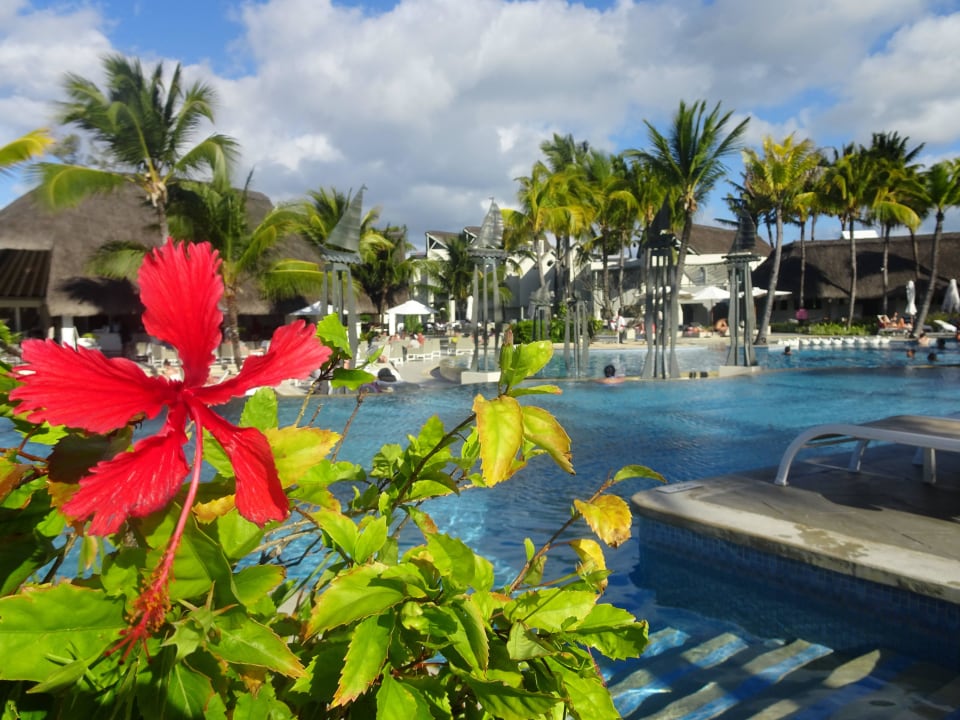 Poolanlage Ambre Mauritius