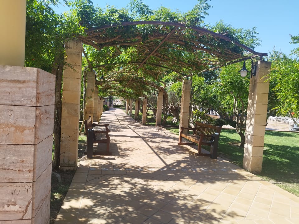 Gartenanlage Zafiro Mallorca