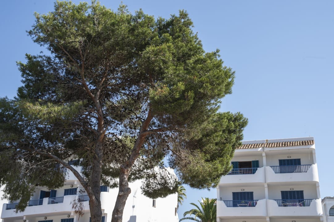 Außenansicht Mallorca Cecilia Apartamentos