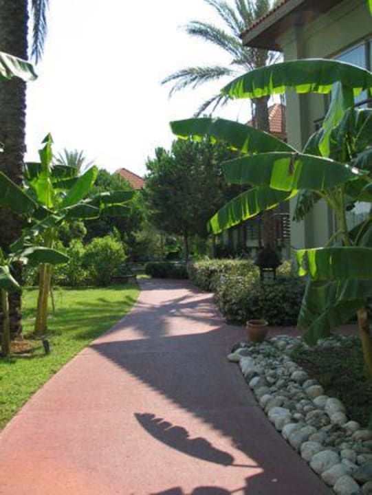 Дорожки вокруг лейк-хаусов IC Hotels Green Palace & Villas