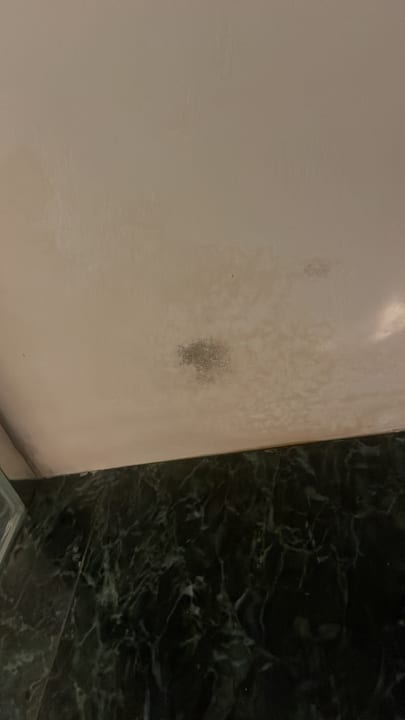Zimmer Hotel AC Ciutat de Palma