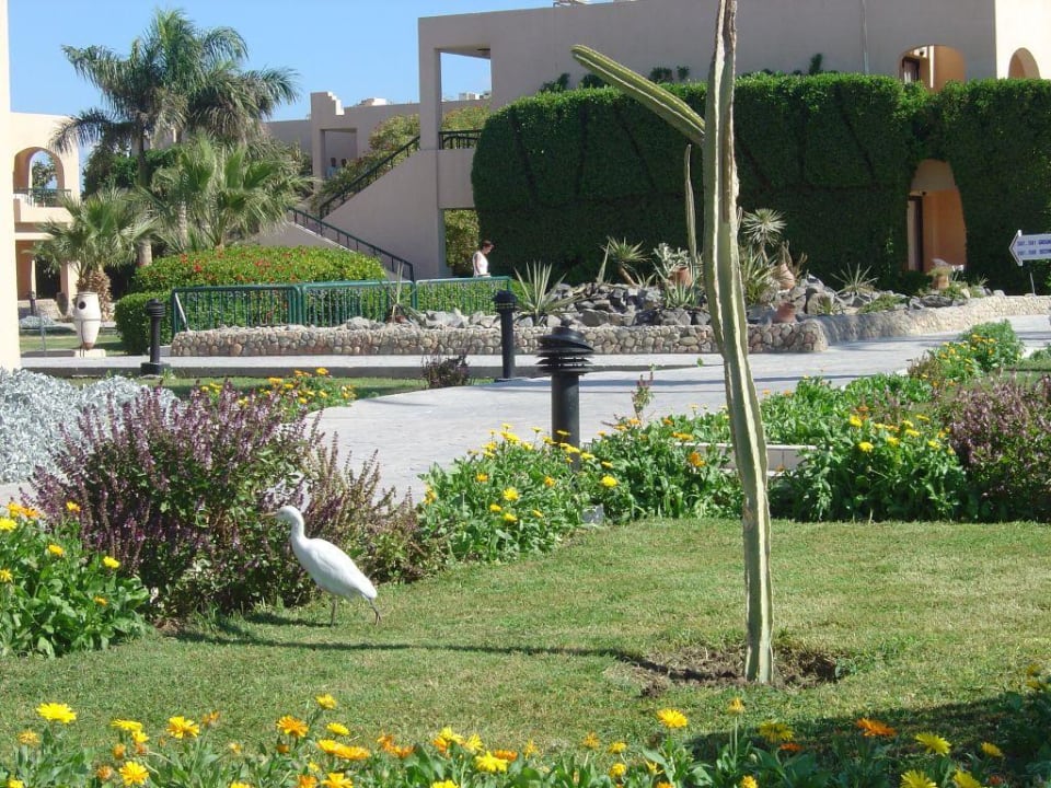 Schöne gepflegte Anlage Ali Baba Palace Resort