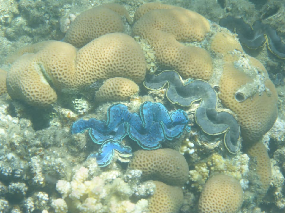 Strand Three Corners Equinox Beach Resort