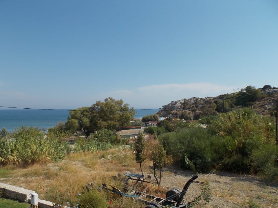 Olivenhain / Richtung Strand und Taverne SENTIDO Port Royal Villas & Spa