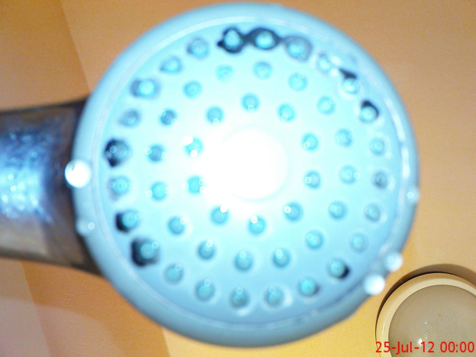 Duschkopf unhygienisch Diana