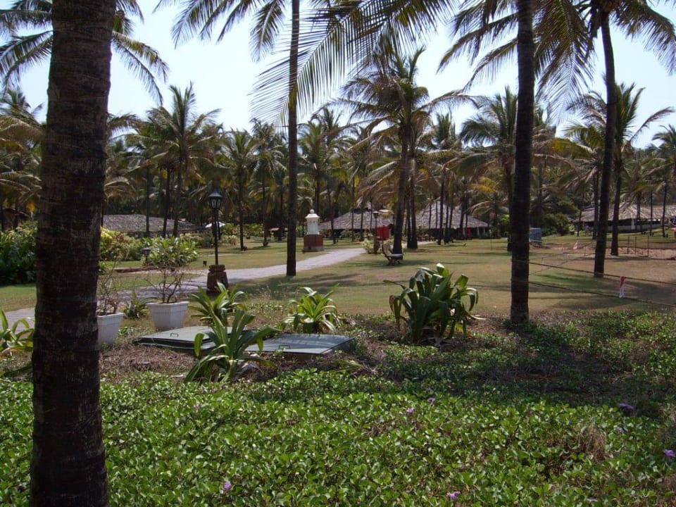 Ogrod Hotel Taj Holiday Village