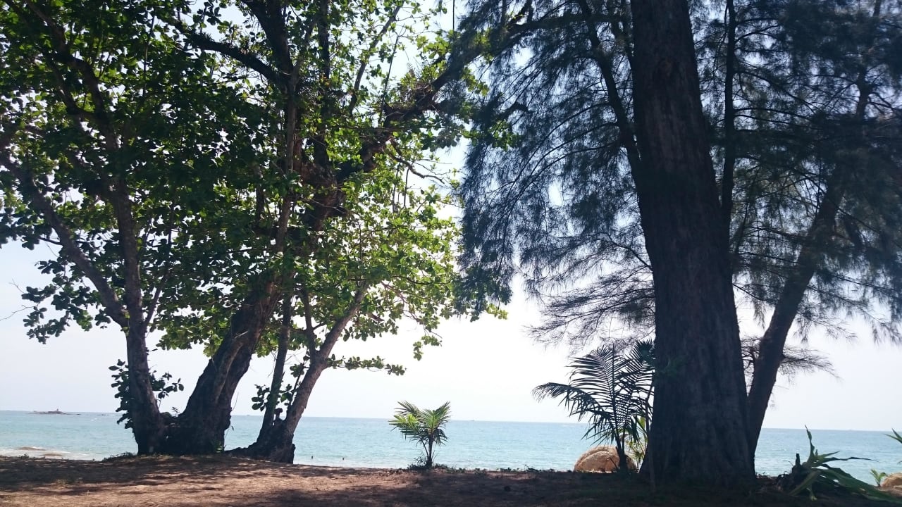 Ausblick von der Liege Khao Lak Merlin Resort