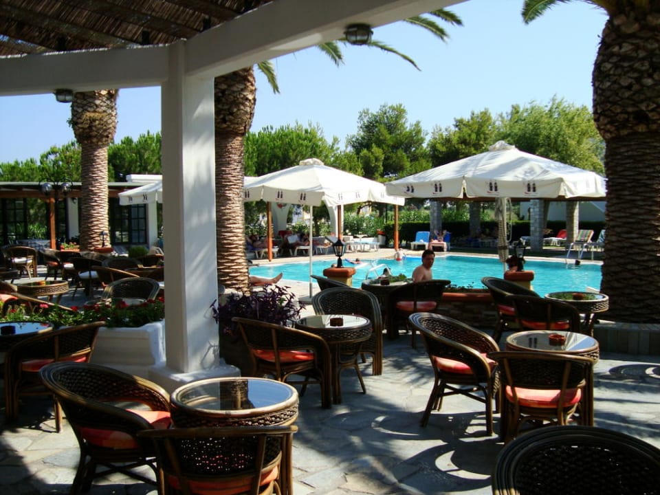 Bar mit Blick auf Pool Palladium Hotel