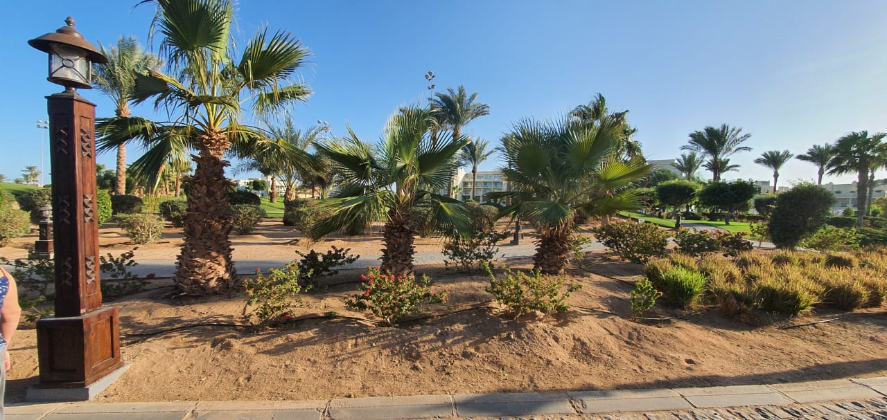 Gartenanlage Steigenberger Aqua Magic