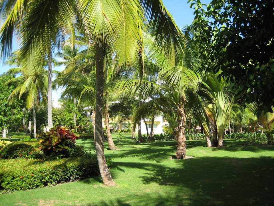 Garten Grand Palladium Select Bávaro Resort & Spa