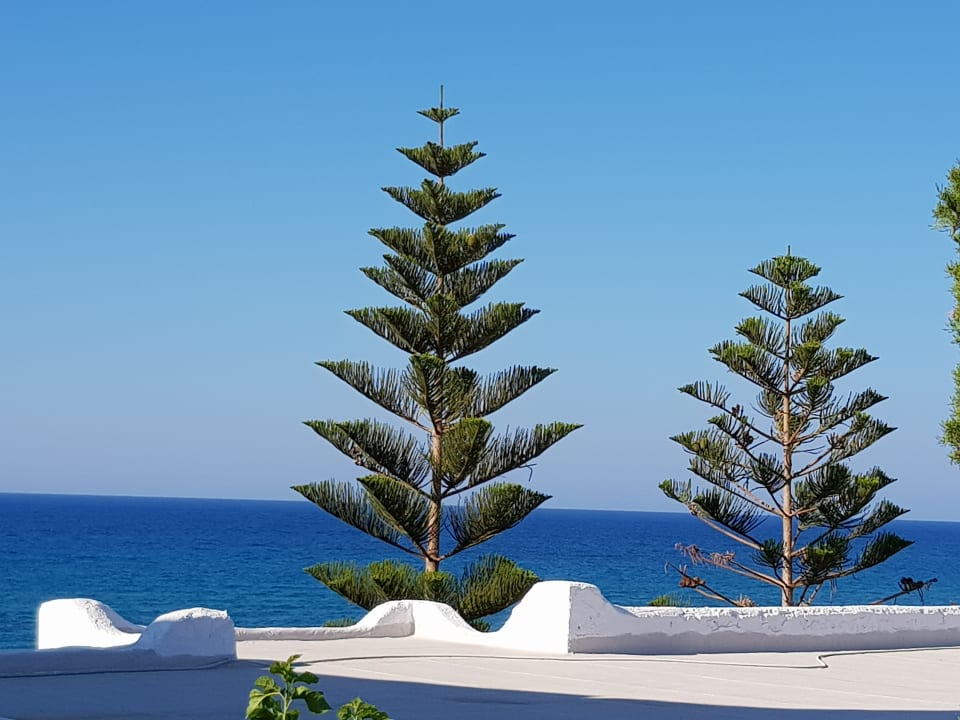 Außenansicht Mitsis Rinela