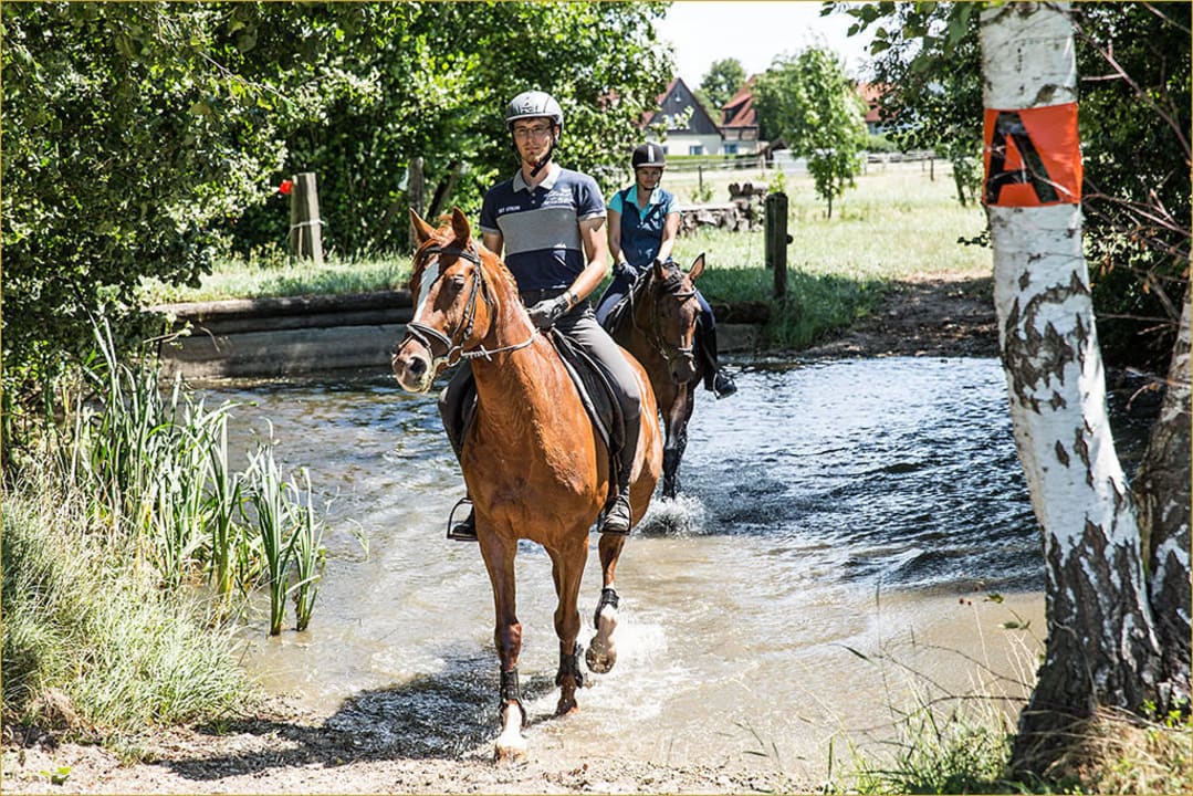 Rundgang per FotoShooting Sommer 2015 Hotel Reiterhof Altmühlsee