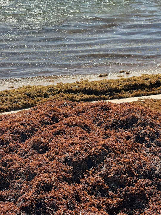 Strand Serenade All Suites - Adults Only Resort