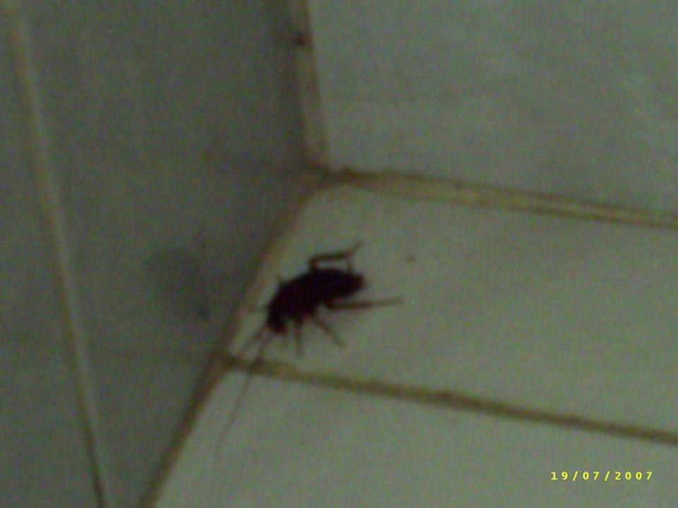 Unser Besuch im Bad (1.) Ghazala Beach