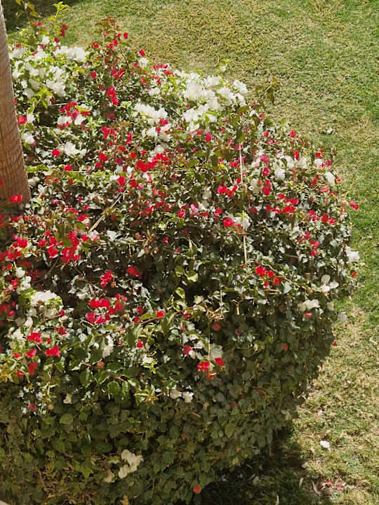 Außenansicht Serenity Alpha Beach