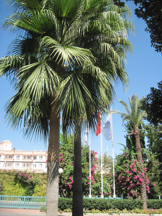 Am Eingang zur Hotelanlage Labranda Alantur Resort