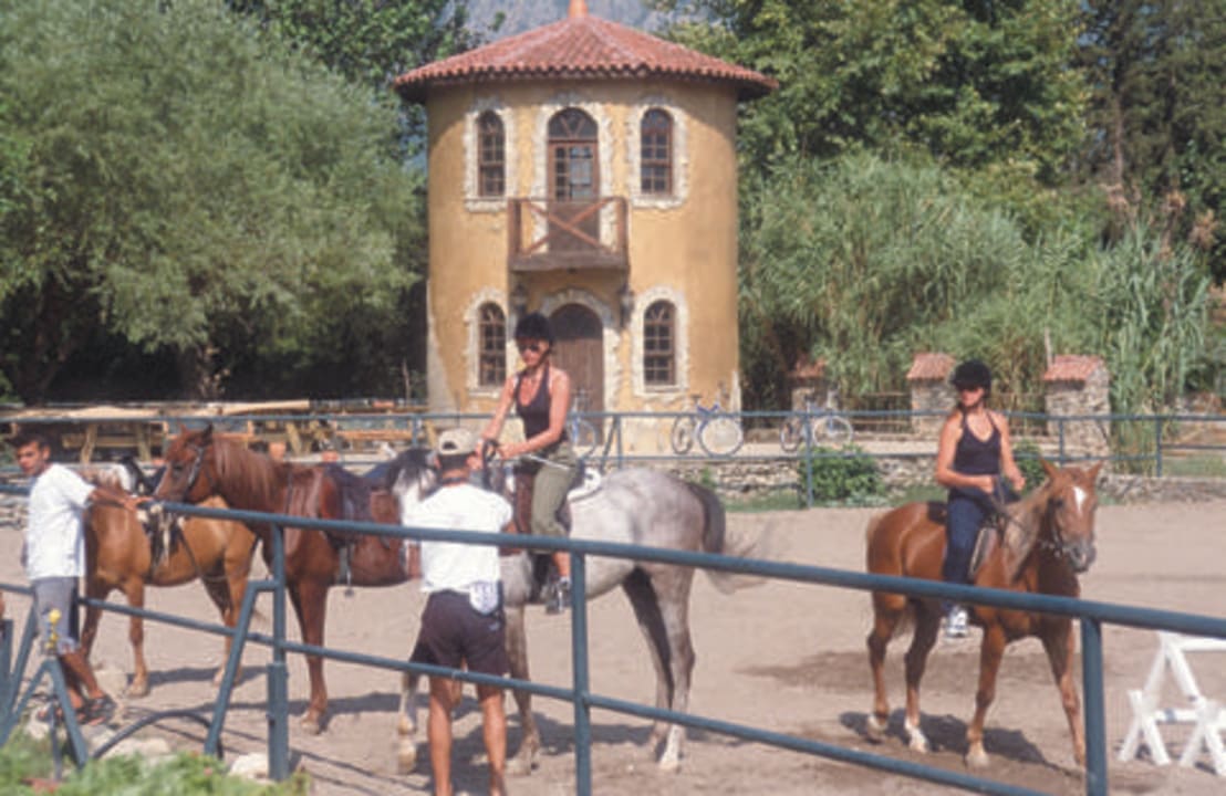 Reithof Hotel Berke Ranch & Nature