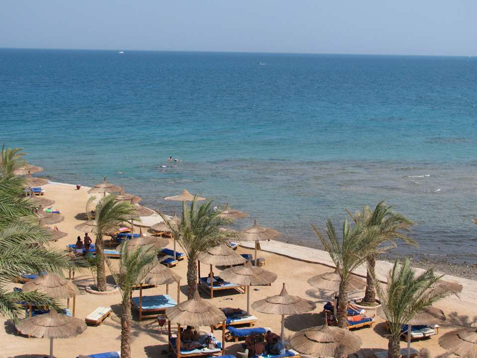 Schnorcheln am Riff Beach Albatros Resort