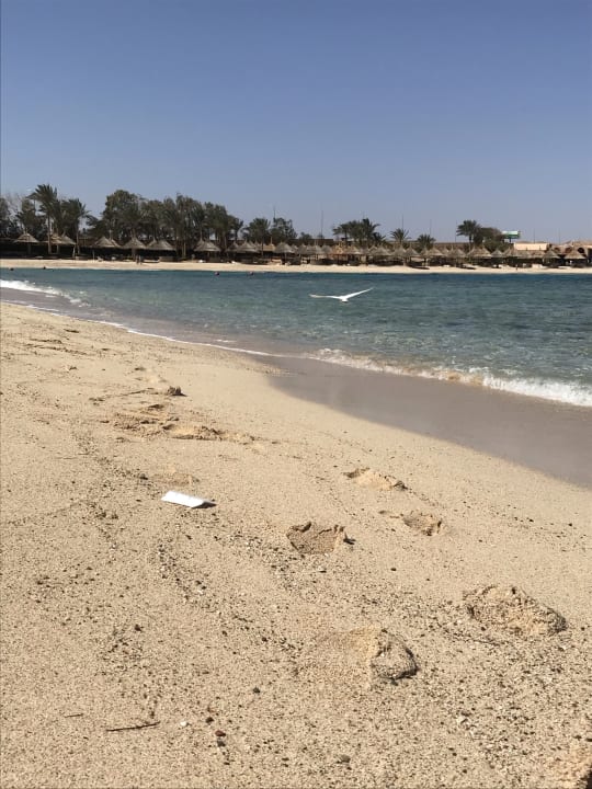 Strand Mövenpick Resort El Quseir