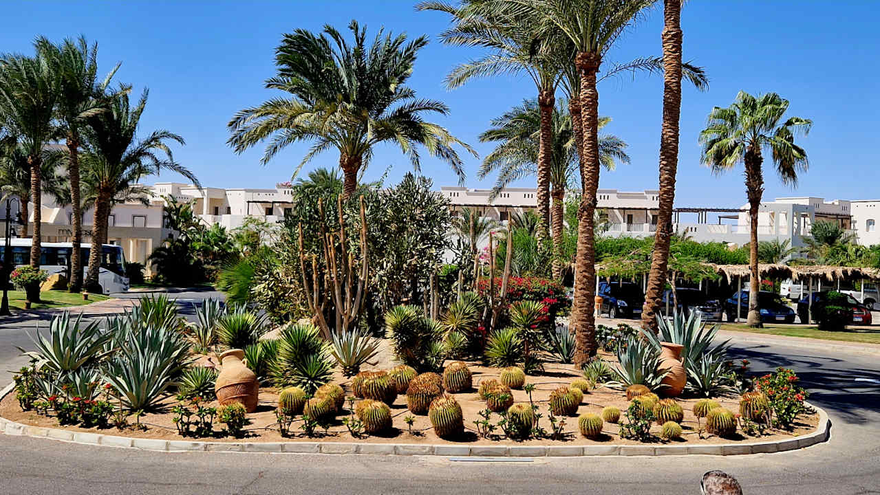 Außenansicht Steigenberger Coraya Beach - Adults only