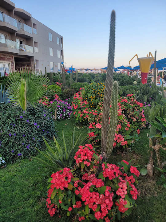 Gartenanlage Hawaii Paradise Aqua Park Resort