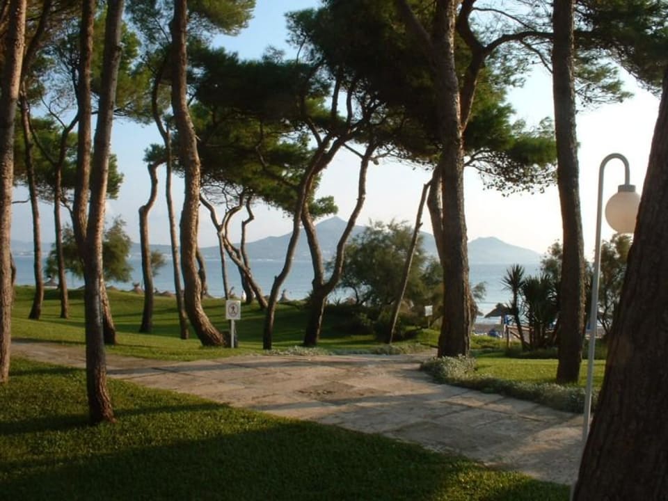 Iberostar Playa de Muro - Parkanlage Iberostar Waves Playa de Muro
