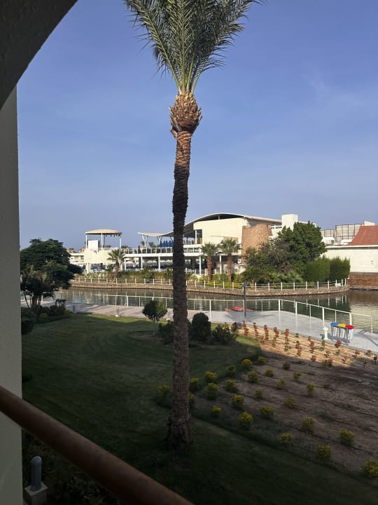 Ausblick Pickalbatros Dana Beach Resort - Hurghada