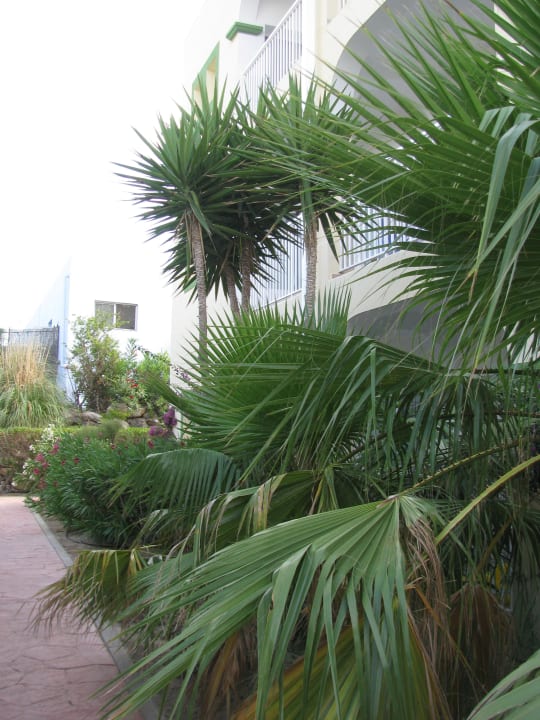 Sirenis Hotel Club Aura TUI BLUE Aura