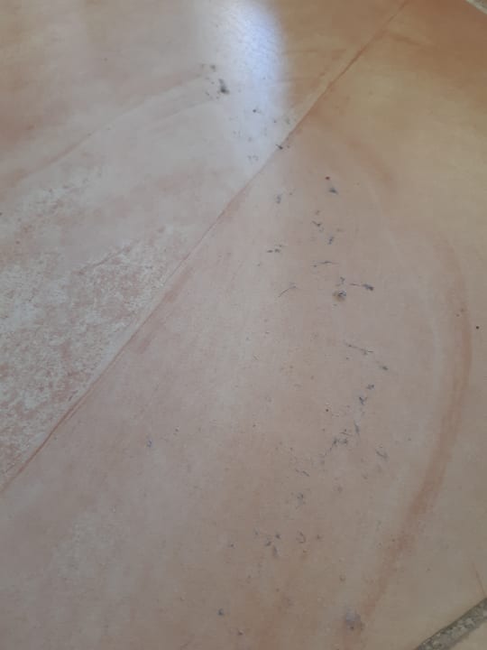 Sonstiges Beach Albatros Resort