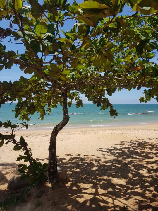 Strand Eden Beach Resort & Spa, A Lopesan Collection Hotel
