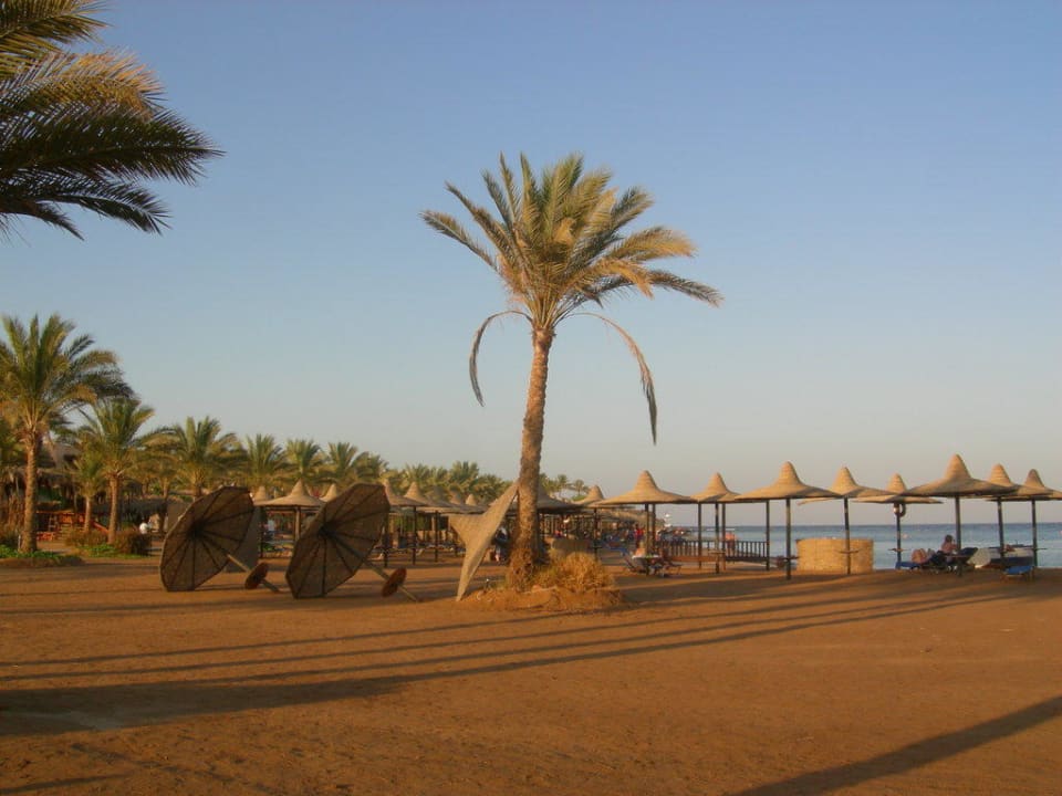 Strand Steigenberger Coraya Beach - Adults only