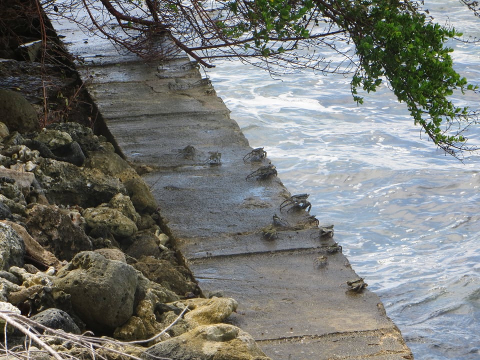 Bereich um Lohis und Surf Break Bereich Adaaran Select Hudhuran Fushi - Premium All Inclusive